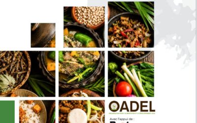 « Les Saveurs du Togo » : un guide de 40 recettes de l’OADEL bientôt disponible